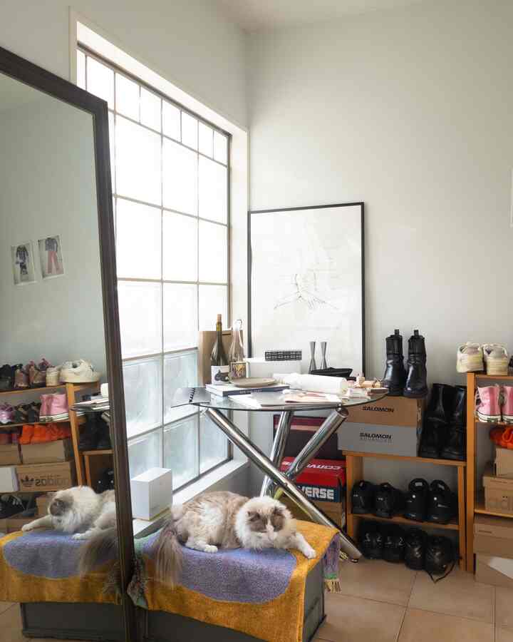 Small living room in white and brown tones with two pet cats and cluttered shoe storage units