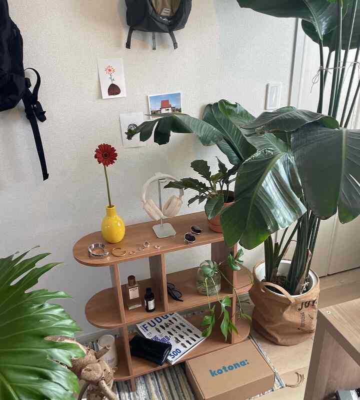 ナチュラルカラーの木製棚とグリーンプラントが配置されたシンプルな印象の空間