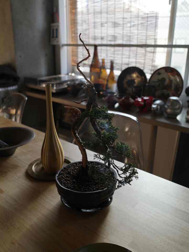 ナチュラルカラーと木目調のダイニングテーブルに植物や様々なインテリア小物が配置された、雰囲気のある空間