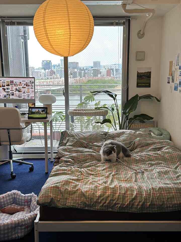 Beige lamp and blue carpet in a studio bedroom featuring desk, chair, and a cat creating a cozy atmosphere