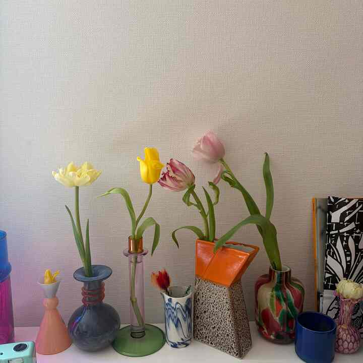 My life has been quite hectic with all the changes, but I've finally been able to catch my breath and relax 🌸
I've also added some new vases near my bedroom!
The orange vase is from Thailand 🇹🇭, and the blue marble-patterned vase is from England 🇬🇧 🤍

#vase
#flowerbase
#bedroom
#colorfulhome
#HAY

