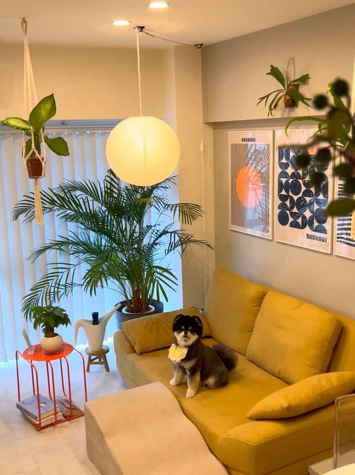 暖かいイエローのトーンのリビング、ソファに犬が座り、多くの植物が配置された落ち着く空間