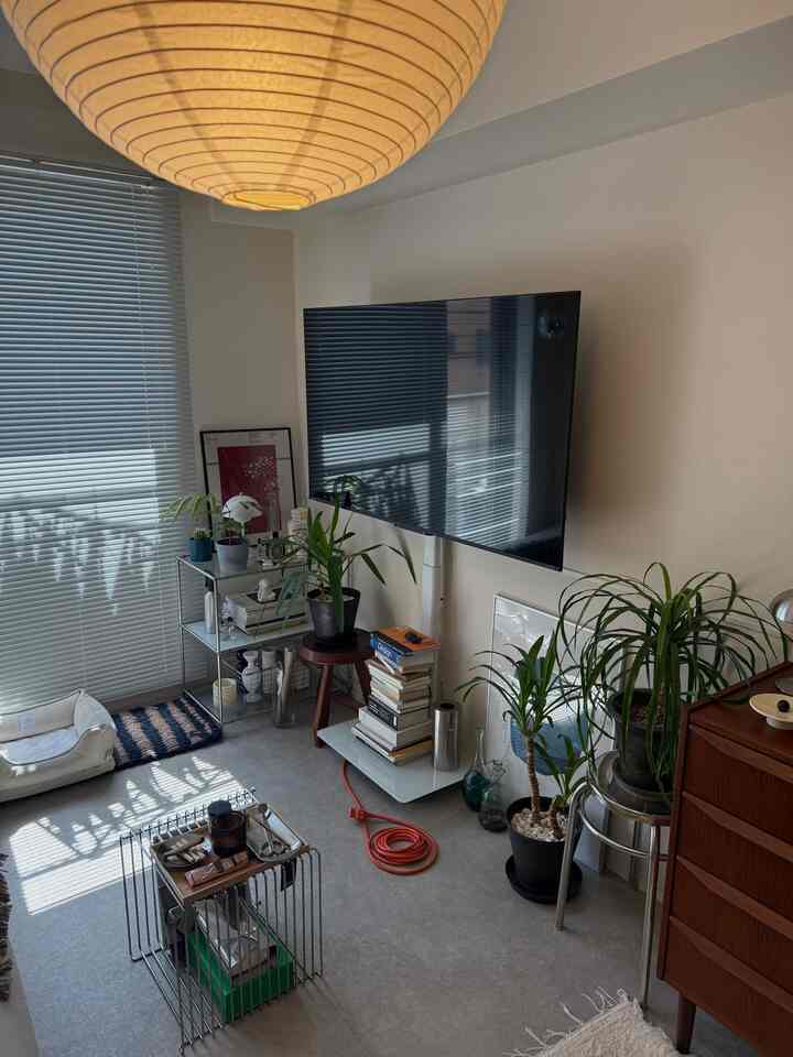 I've added some color with small accessories, but I'm trying to keep it from looking too cluttered.

#LivingRoom #照明 #シェルフ #アート #テレビスタンド #植物