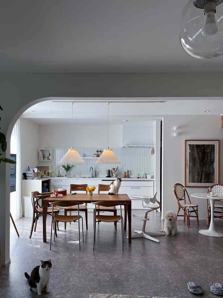 Bright white walls and wood-tone dining table in a tidy dining room featuring pets and a cozy atmosphere