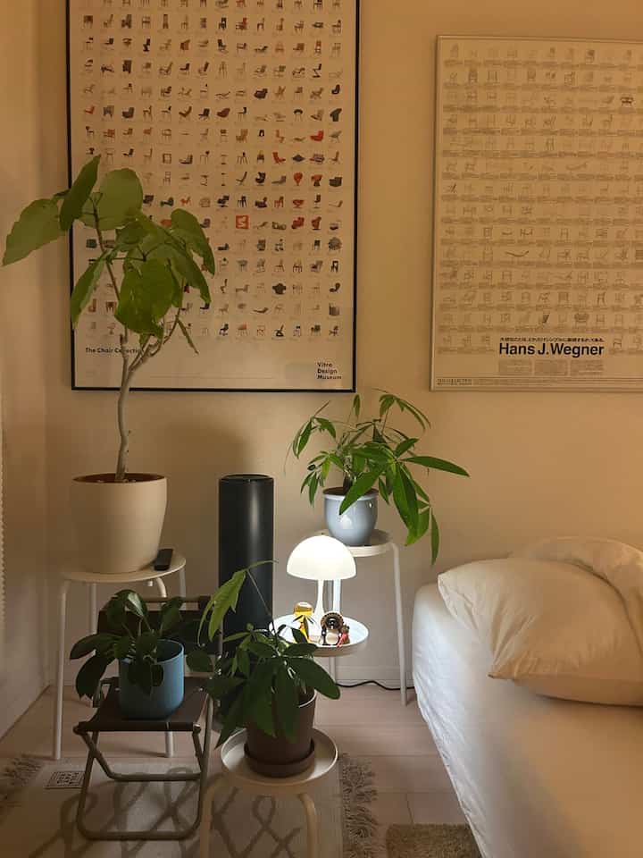 植物スペース、加湿器をたまに稼働させて、水やり代わりにしてます！

#interior #roomtour #midcentury #BauhausJapan #vintagefurniture #Artek #IKEA #lightroom #70B #sempre #Vitra 