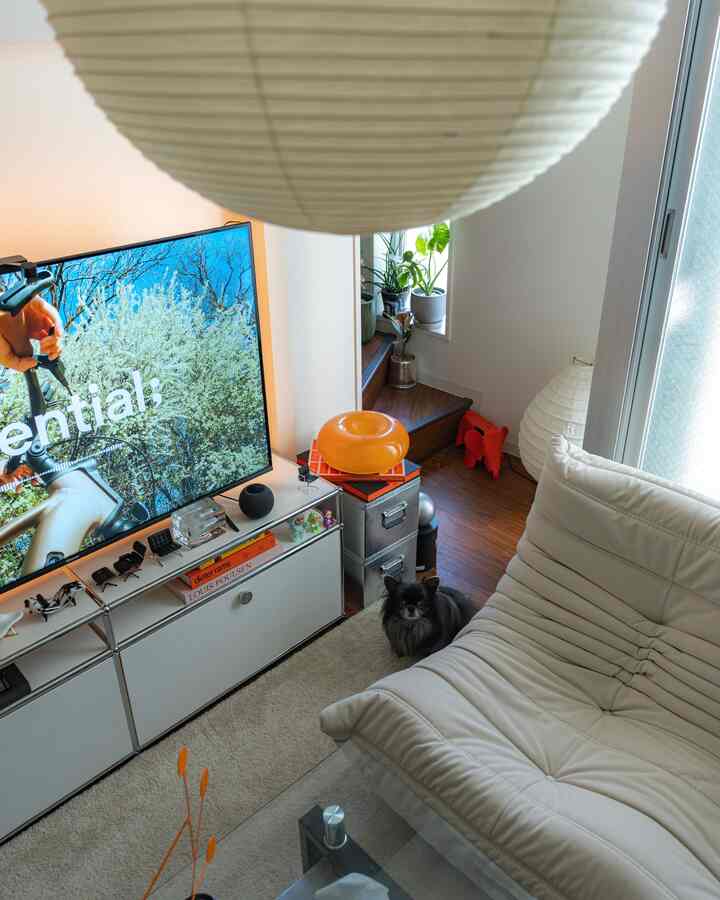 ホワイトと木目調の調和が取れたワンルームのリビング、ソファとテレビ、犬がいる自然な雰囲気のインテリア