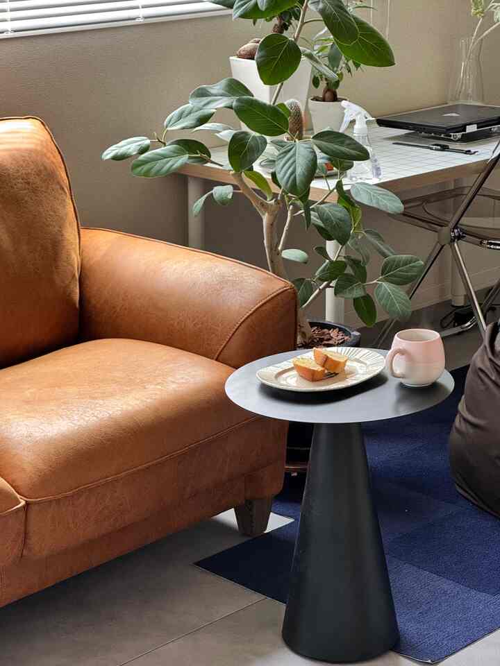 Natural-toned living room featuring brown leather sofa, small black side table, and green plants creating a cozy atmosphere