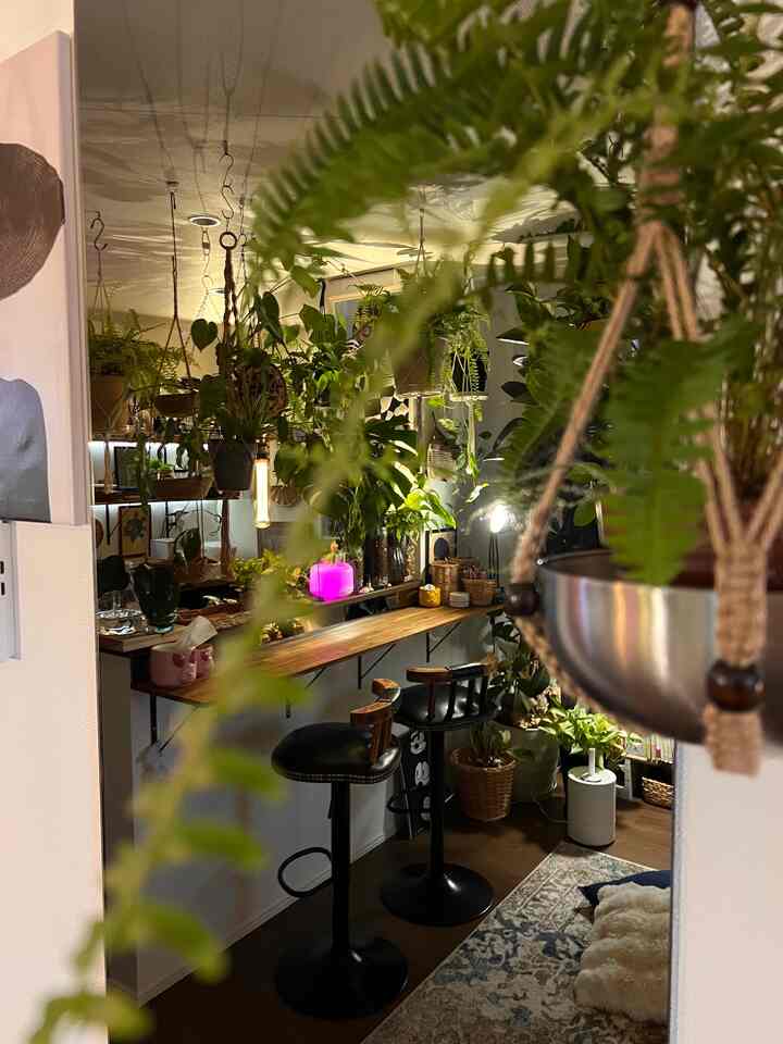 夜になると、植物たちが主役になるこの空間。🌿

お気に入りを少しずつ集めて、
光の当たり方や影まで楽しめるように整えた
わたしだけの癒しコーナー。

慌ただしい毎日でも、
ここに座るとちゃんと気持ちが整う。

インテリアって、
“見た目”だけじゃなくて
心の居場所をつくるものだなって思う。✨

#インテリア #観葉植物のある暮らし #ボタニカルインテリア #一人暮らしインテリア #癒し空間　#ダイニング　#ダイニングインテリア　#キッチン　#キッチンインテリア　#植物　#キッチンカウンター　#キッチンダイニングインテリア　#海外インテリア　#ナチュラル　#ボホーインテリア　#ohause 