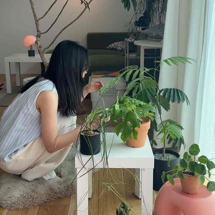 ムートンラグはロンハーマンで購入🛒

#ミッドセンチュリー　#カラーインテリア　#IKEA購入品　#観葉植物　#観葉植物のある暮らし