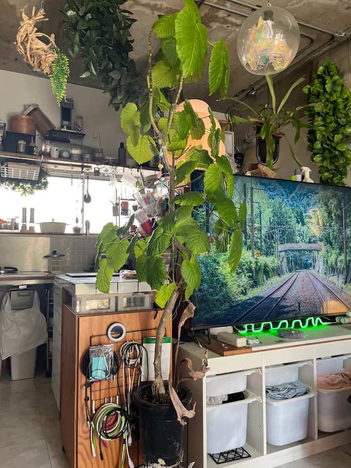 Natural colors and concrete ceiling blend in this studio apartment balcony space featuring large indoor plants and a TV with cozy atmosphere