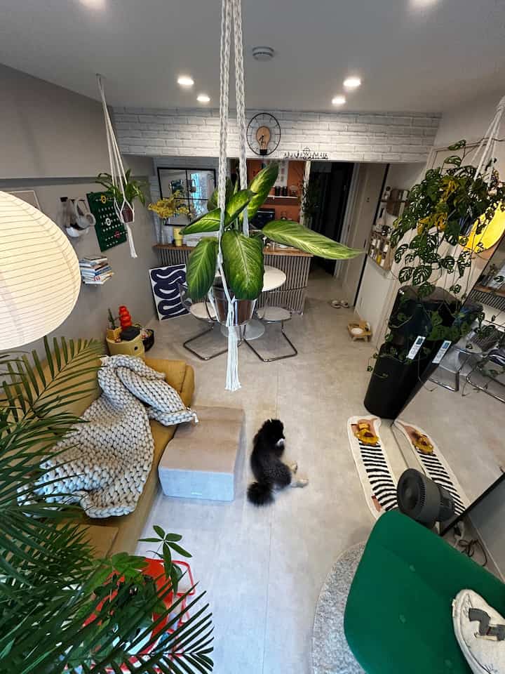 Natural toned living room featuring a dining table with transparent chairs, various plants, sofa, and a dog in a modern setting
