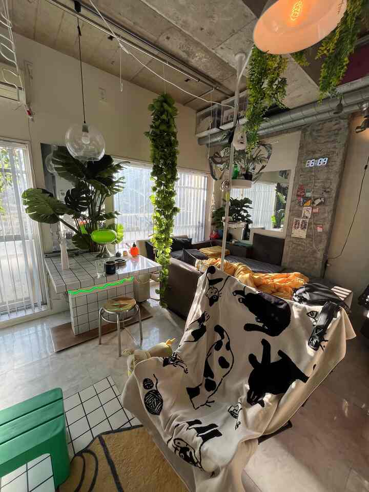 Bright white and natural tones in a studio apartment living room featuring cat-patterned blanket and abundant plants in a cozy atmosphere