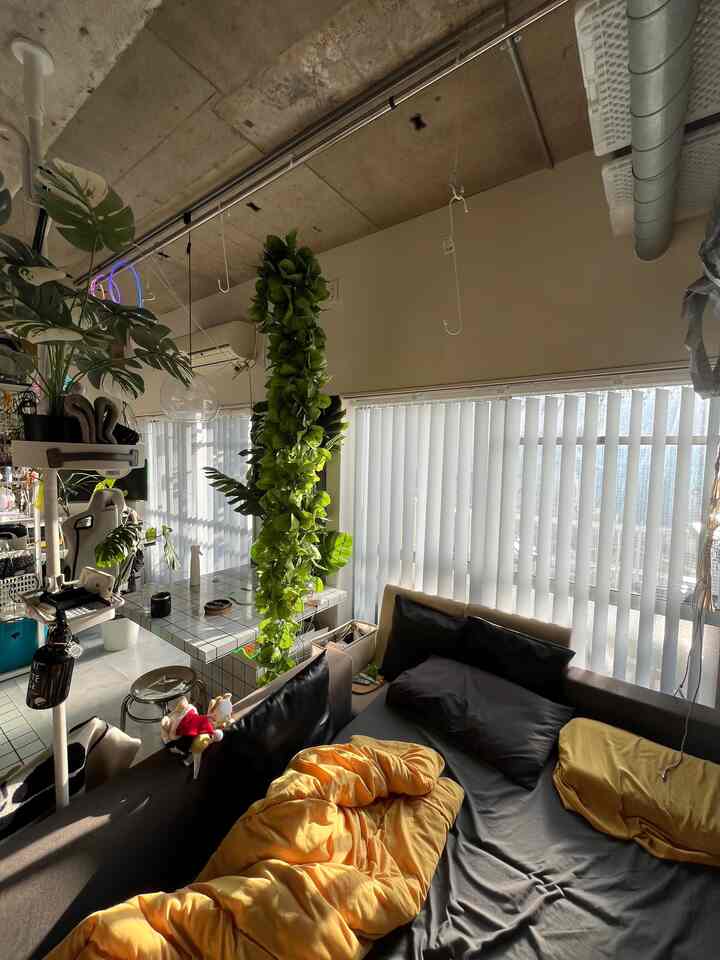 白いカーテンと黒いソファベッド、中央に植物が配置された印象的なワンルームのリビング