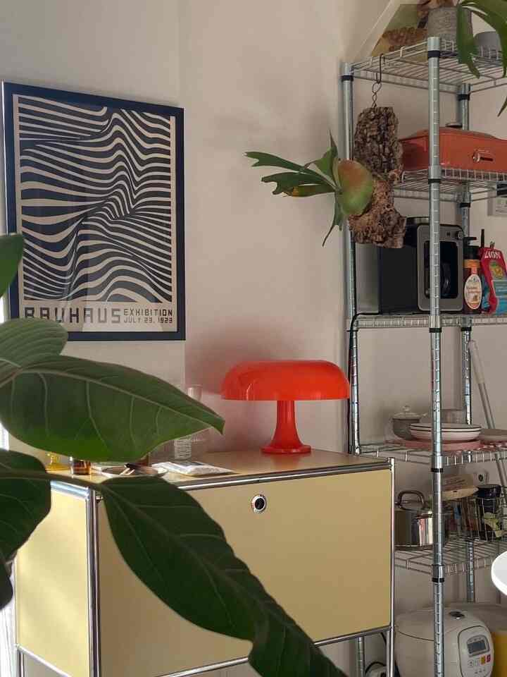 やはり植物を増やしたい🪴
#midcentury #midcenturymodern 
#ikea #1dk#ひとり暮らし#キッチン
 #インテリア #リビング #生活感のある暮らし 
#ミッドセンチュリー #ミッドセンチュリーモダン
#在宅勤務 #韓国インテリア#北欧インテリア#marketb
#2026Ohouse新生活