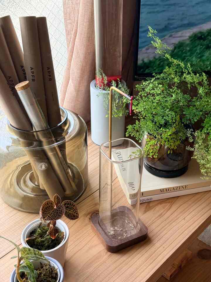 IKEAのコンストフルが仲間入りしてからガラスの小物が増えてより涼しげに見える✨️
お気に入りのディスプレイラック

2枚目は去年剪定したベンガレンシス
水差しで根っこ増やして、鉢に植え替えしてから
なかなか新芽がでなくて不安だったんだけどやっと新芽出てくれた!🌱

   
#賃貸インテリア #ohouse初夏準備 #リビング #観葉植物 #花瓶 #ナチュラルインテリア #ミックステイスト