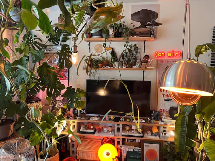 A cozy, plant-filled small living room featuring pendant lighting, retro wall decor, and an Instagrammable vibe