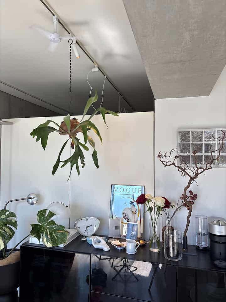 Modern living room corner in white and black tones featuring a black cabinet adorned with various vases and plants
