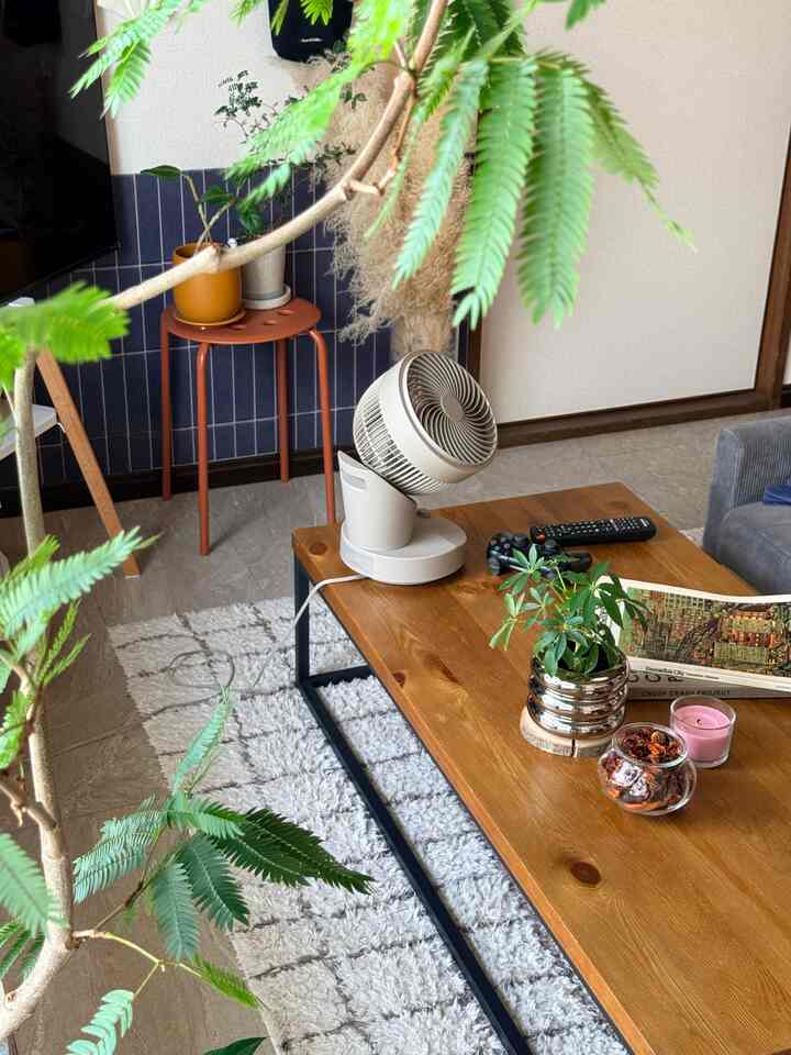 Natural style living room with navy tile wall and dark wood tones, featuring plants and a circulator fan creating a cozy atmosphere