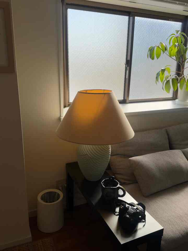 A large, eye-catching light fixture is recommended because it can become the focal point and enhance the atmosphere of a small room. 💡

#lighting
#livingroom
#diningroom
#sofa
#livingalone