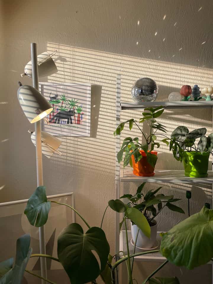 夕方のブラインドの影が良い感じです。
植物コーナーには、植物🪴とネコ🐈‍⬛のアートを飾ってます。ohouseで買いました。
最近暖かくなってきて、新芽🌱を眺めるのが毎日の楽しみです。
#植物コーナー　#植物インテリア　#観葉植物