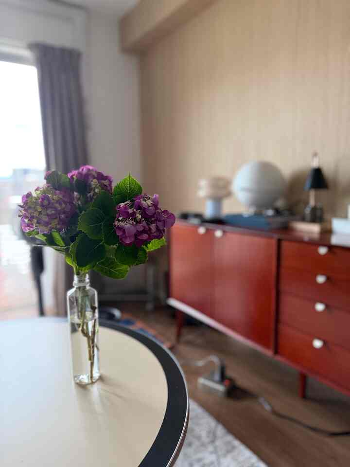 紫陽花を買って来ました
大好きなお花
真っ白のアナベルも欲しい
#紫陽花 
#fargo 
#電源タップ 
#サイドボード 
#ミッドセンチュリー 
#円形テーブル 
#ラグ 