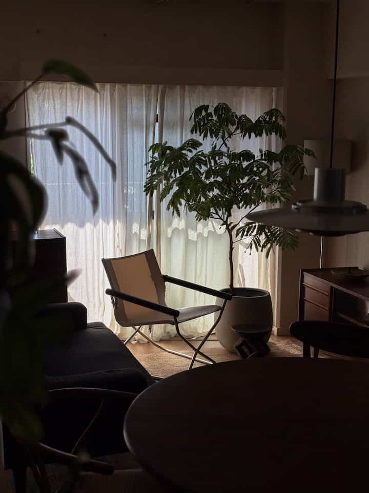 #観葉植物 #パーソナルチェア #ミッドセンチュリー 