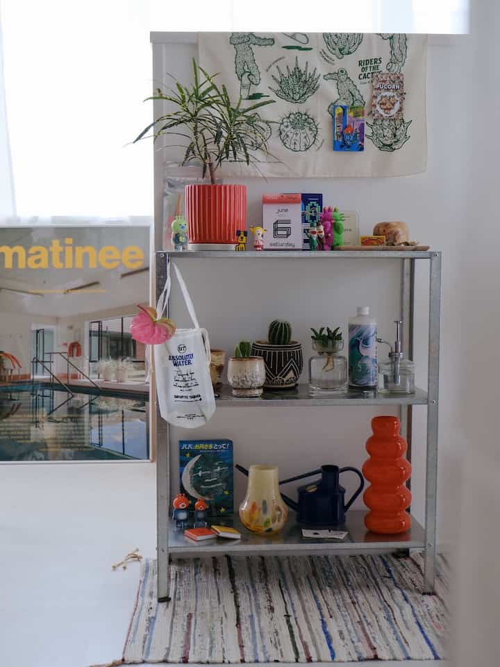 Natural toned interior with silver rack featuring art toys and indoor plants arranged decoratively