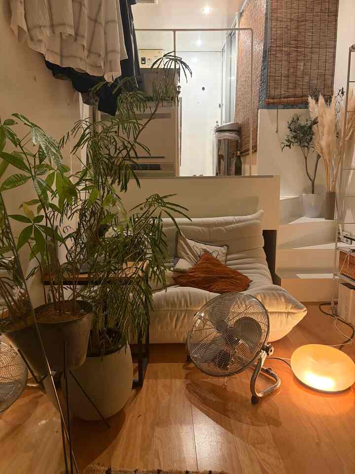 10:00 PM - midnight.

#cozyhome
#cozyroom
#KoreanInterior
#SingleLifeInterior