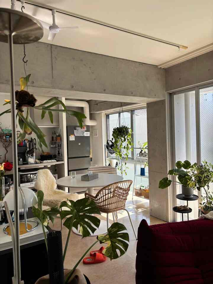 ワンルームならではの空間🛋️🌱

植物を点在させてバランス良く見えるようにしてます。
モンステラがいい味出してる！


#インテリア　#観葉植物　#インテリア雑貨
