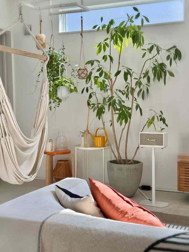 Houseplant corner 🪴
The hammock is a favorite of the kids.

#houseplants #actus #artek #ikea