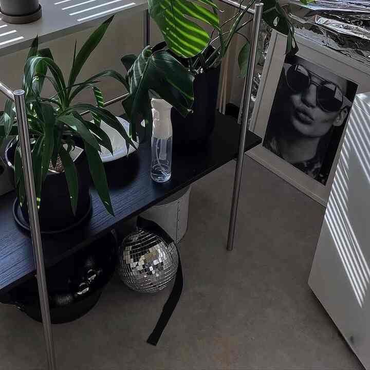 Place the houseplants in the only sunny spot.
Put them in large pot covers before it gets too hot.

#Preparing for early summer 2026 #観葉植物 #ikea #ikeahack #ステンレス #ステンレスインテリア #無機質 #無機質インテリア #シルバー #シルバーインテリア