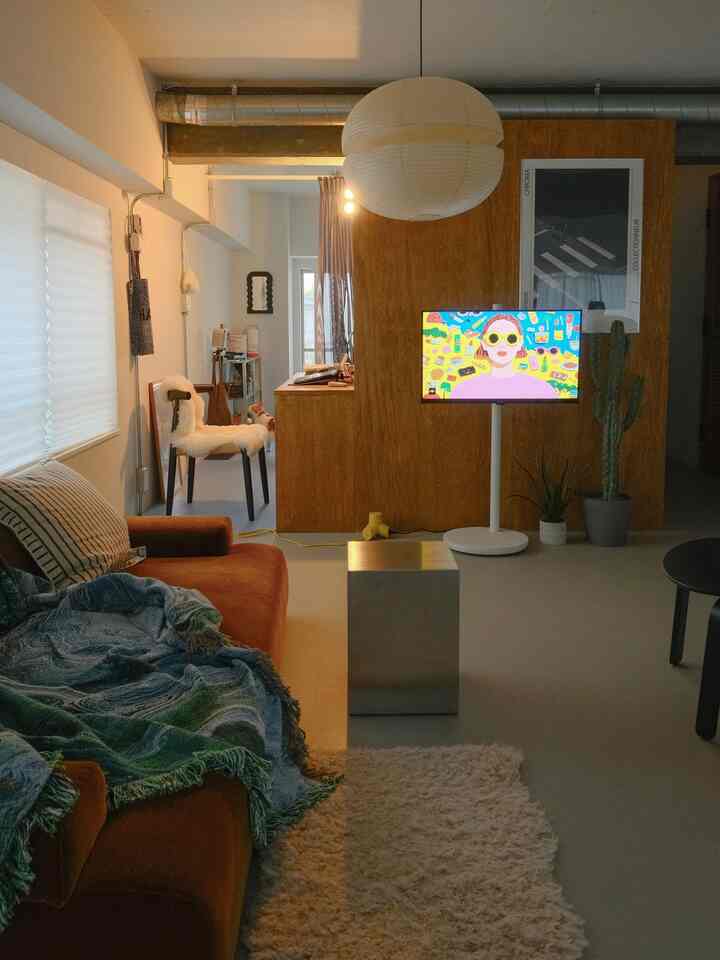 Modern living room with warm wood tones, cozy rug, and a cat present