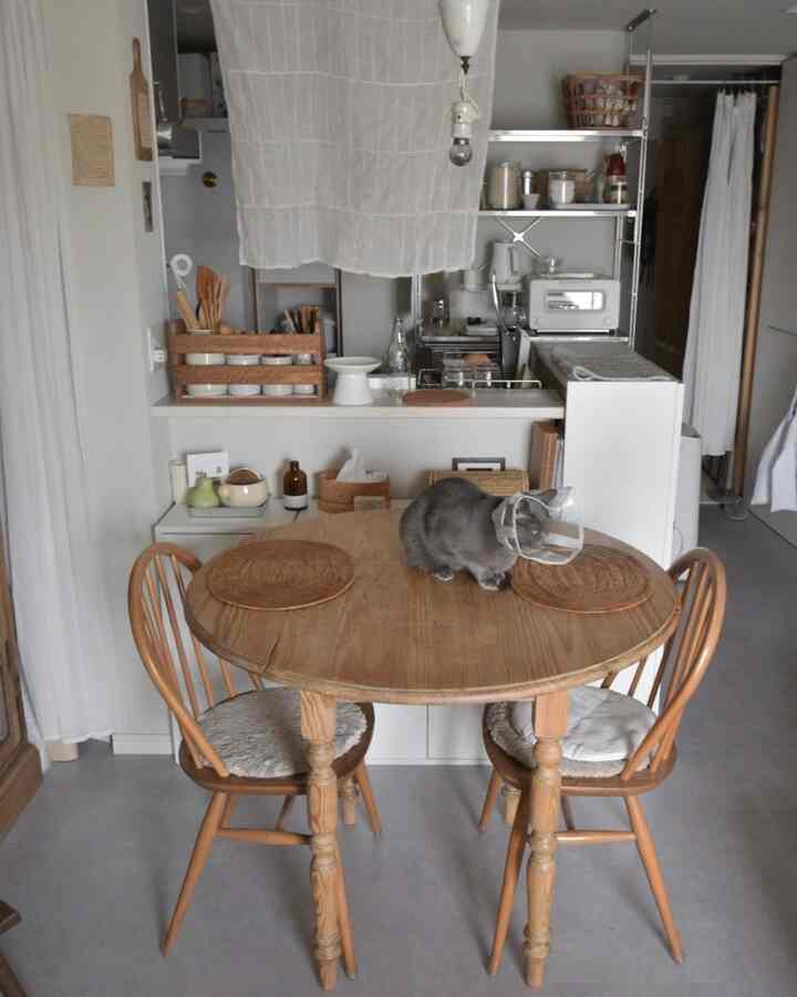 ナチュラルな色調の1LDKキッチンとダイニング、木目調のダイニングテーブルに猫が座るシンプルなインテリア