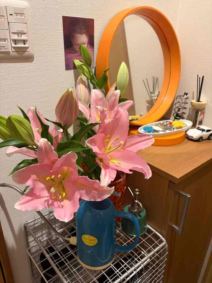 自分のためにゆりの花を買いました💐
玄関にお花を置くと元気もらえる〜

#玄関
#カラフルなインテリア
#お花がある生活
#1ldk