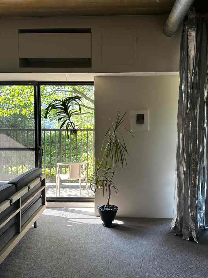 梅雨の晴れ間
ノンリーフの新芽が出た
うれしい朝🌱



#マンションリノベーション
#リビング
#植物のある暮らし


