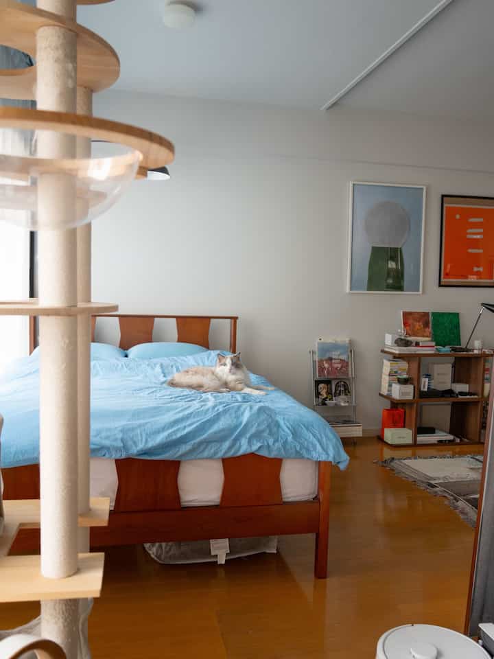 Cozy bedroom with blue bedding and wooden bed frame, beige cat tower on the left, and a cat resting in the center