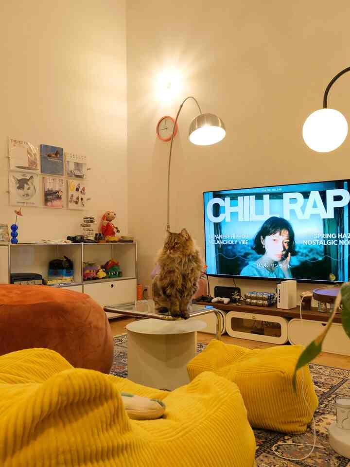 黄色のソファとクッションがあるリビング、透明なアクリル棚と中央に猫が配置されたミッドセンチュリーモダンの雰囲気のあるインテリア