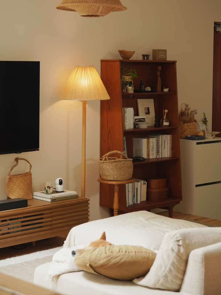 Natural color and wood tone living room featuring bookshelf and floor lamp with warm atmosphere