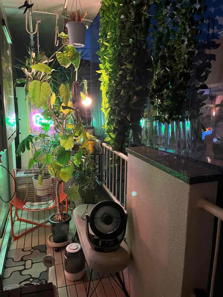 夜のバルコニーでエアロバイクを漕いでます。植物を見ながらあせあせ。

サーキュレーターは普段は植物向け、バイク時は私向けになります。真夏は屋外無理かもだけど要検証の夏です。

バルコニーのサンルーム化、楽しいです。
#ワンルーム #賃貸インテリア #観葉植物 #リノベーション 