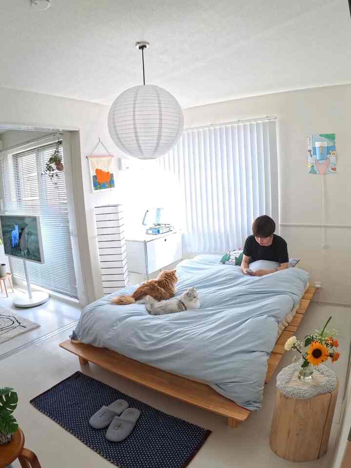 Bright white-toned bedroom with blinds, wooden bed and blue bedding featuring two cats and person, simple minimalist space
