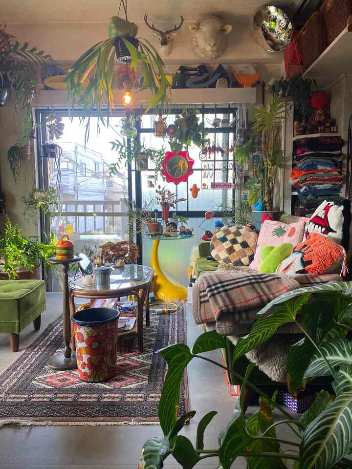 Natural-toned small living room filled with various plants, featuring a sofa and coffee table in a cozy retro-inspired atmosphere