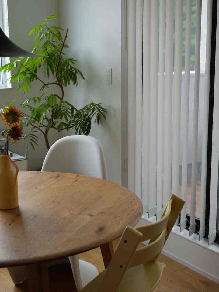 我が家のダイニング
ピクチャウィンドウがイチ押しです🪟

#ダイニング #vitra #usm #家づくり