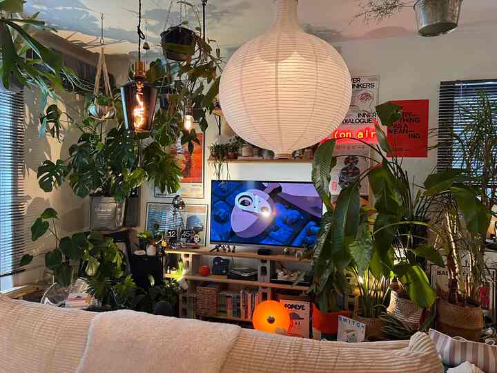 照明を変えて少し模様替え🌿

#IKEA
#IKEA照明
#リビングインテリア
#海外インテリア
#植物のある暮らし
#観葉植物インテリア
#リビング
#インテリア好き
#模様替え
#北欧インテリ