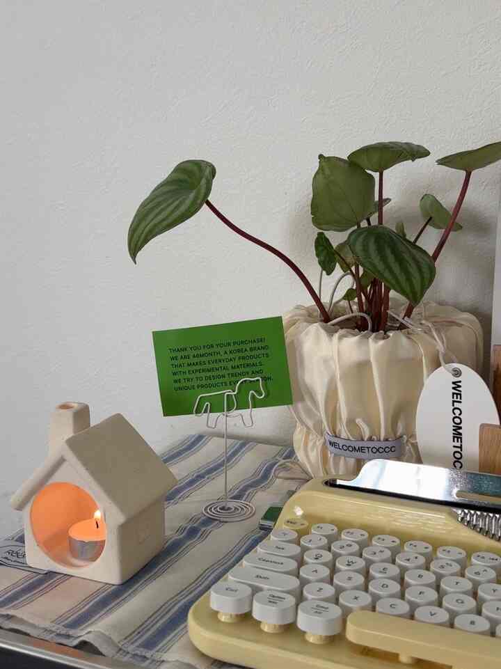 Minimal vintage-style table space with a white wall background featuring a yellow typewriter and a cream-colored potted plant