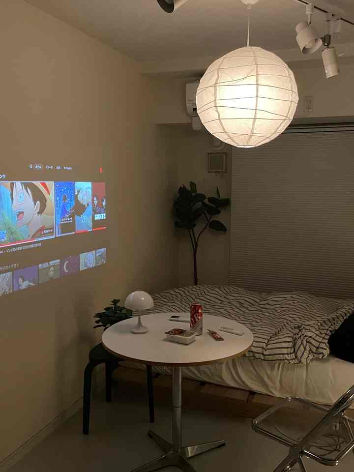 White and natural color 1K studio apartment featuring pendant light, projector screen, and plants in a cozy single household space