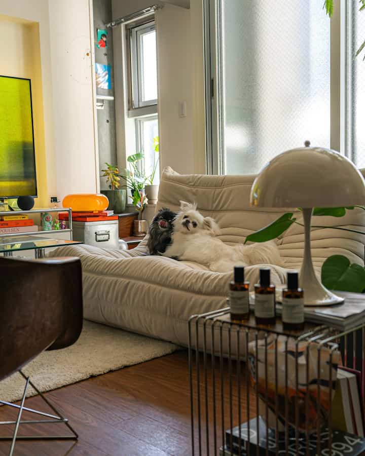 リーンロゼのトーゴソファは犬たちにとっても気持ちいいみたいです🙌

我が家のリビングはそこまで広くないので、白いトーゴを置くことで広く見えるようにしています。
ローソファかつホワイトは使いやすくてgoodです！

#リーンロゼ
#トーゴ
#ミッドセンチュリー
#ミッドセンチュリーモダン
#北欧
#リビングインテリア
