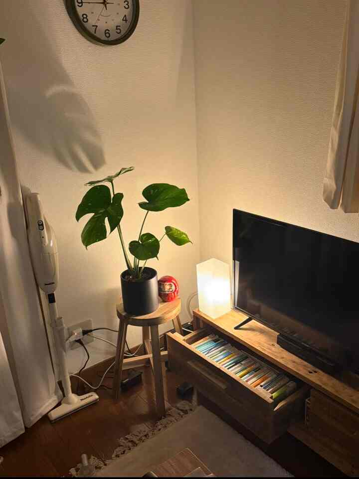 ナチュラルなブラウン調のリビングコーナー、モンステラの植物とフロアランプが置かれた落ち着いた空間