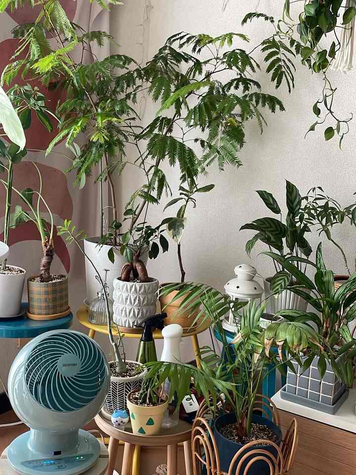 greenで涼をとる💚🌿
.
.
.
.
.
.
#ホームバカンス
#観葉植物
#カラフルインテリア
#築古賃貸
