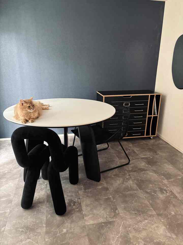 my room🤍🖤


#リビング #ダイニング #モノトーン 
#猫との暮らし #賃貸 