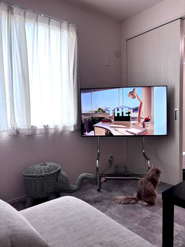 A natural and clean living room in white and silver tones featuring a central TV stand and a cat